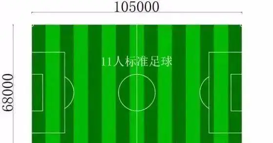 篮球体能训练计划模板大学生_2